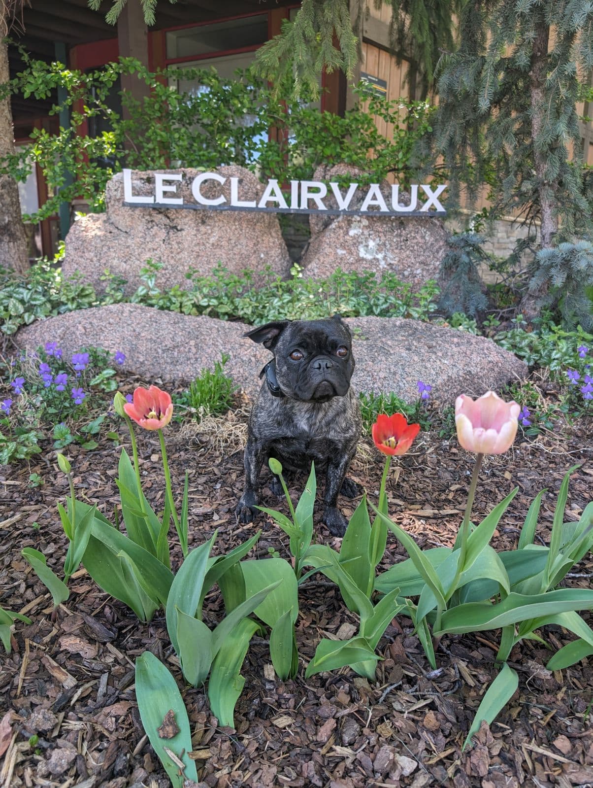Le Clairvaux